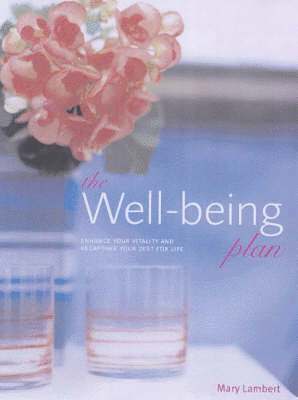 Mary Lambert - Wellbeing Plan, Inbunden