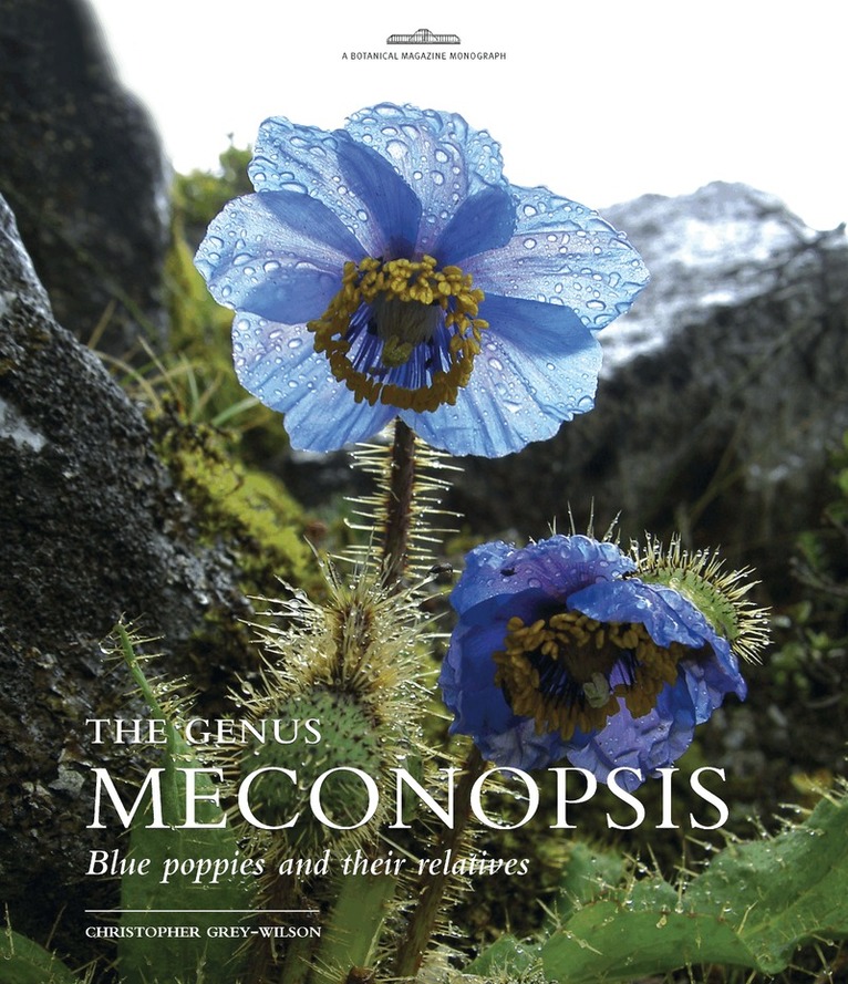 Christopher Grey-Wilson - Genus Meconopsis, The, Inbunden