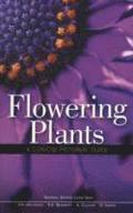 Flowering Plants A Concise Pictorial Guide