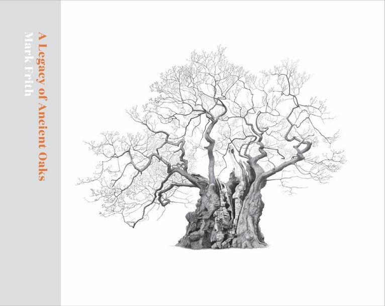 Mark Frith - Legacy of Ancient Oaks, Inbunden. Tillgänglighet: Lägg i varukorg