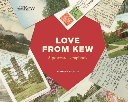 Sophie Shillito - Love from Kew, Inbunden