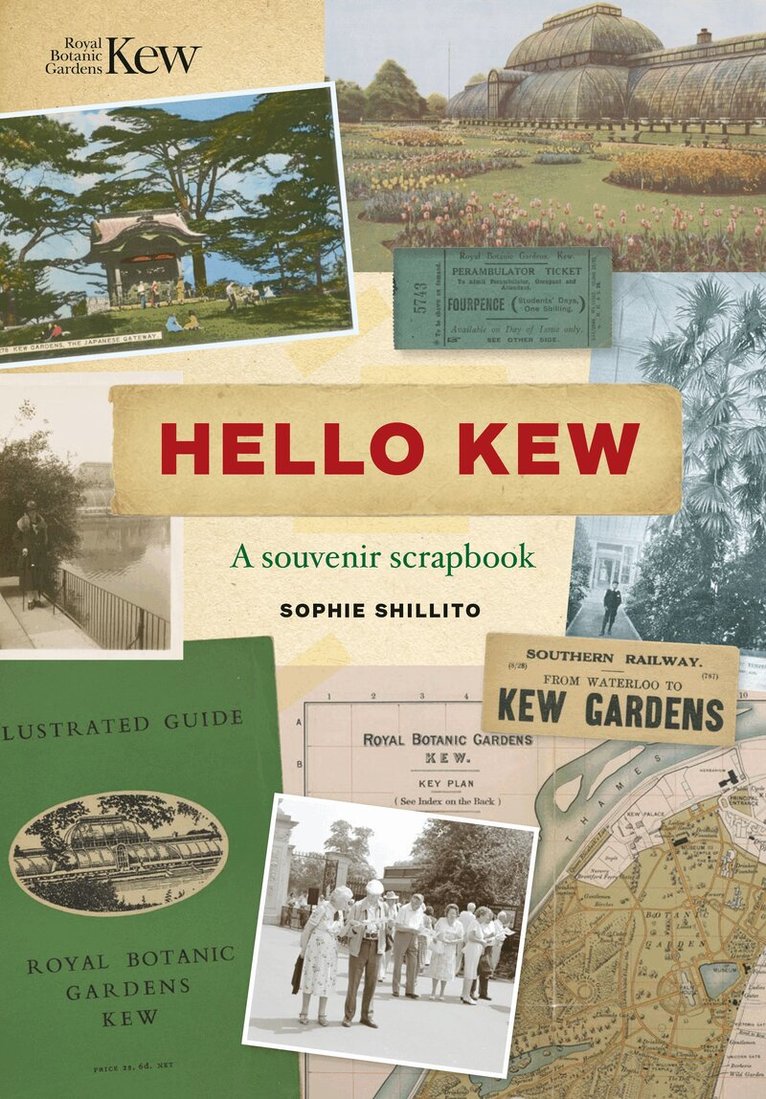 Sophie Shillito - Hello Kew, Inbunden