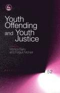 Youth Offending and Youth Justice