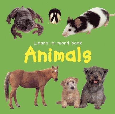 Nicola Tuxworth - Learn-a-word Book: Animals, Kartonnage. Tillgänglighet: Lägg i varukorg