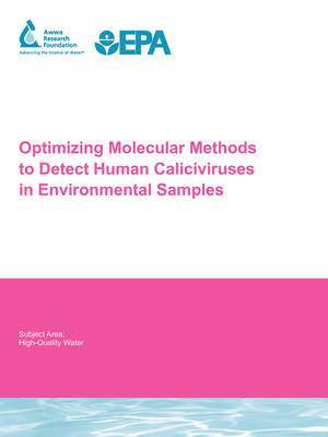 J. Vinje - Optimizing Molecular Methods to Detect Human Caliciviruses in Environmental Samples, Häftad