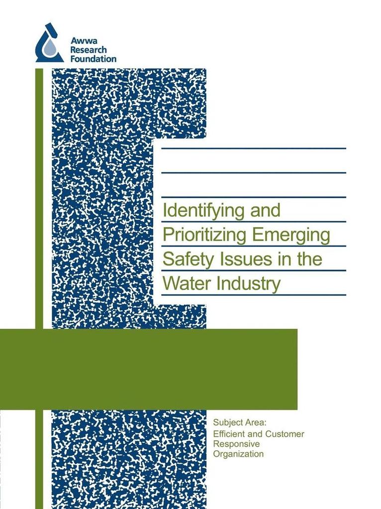 P. Puglionesi, D. Baird, S. Shaon - Identifying and Prioritizing Emerging Safety Issues in the Water Industry, Häftad