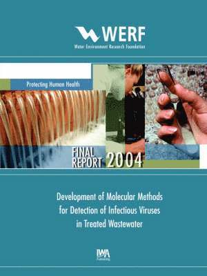 T. Cromeans, J. Narayanan, K. Jung, G. Ko, M. Sobsey, D. Wait - Development of Molecular Methods to Detect Infectious Viruses in Water, Häftad