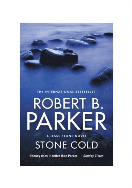 Robert B Parker - Stone Cold, E-bok