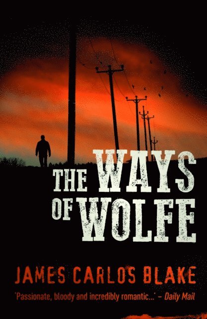 James Carlos Blake - Ways of Wolfe, E-bok