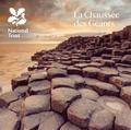 Giant's Causeway - French