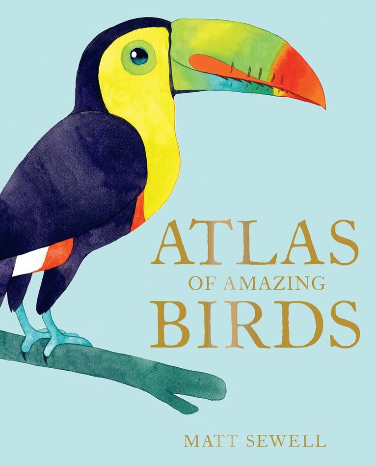 Matt Sewell - Atlas of Amazing Birds, E-bok
