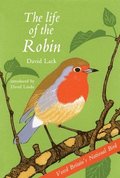 The Life of the Robin