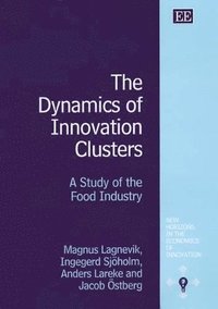 Dynamics of Innovation Clusters