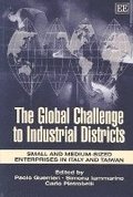 Global Challenge to Industrial Districts