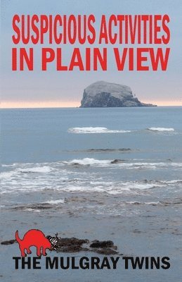 The Mulgray Twins - Suspicious Activities in Plain View, Häftad