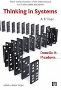 Thinking in Systems