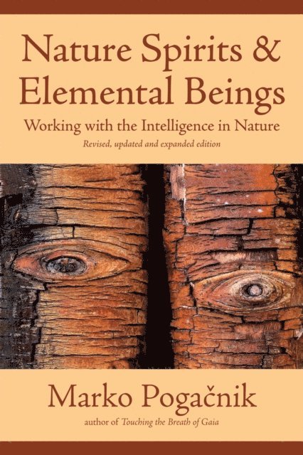 Marko Pogacnik - Nature Spirits & Elemental Beings, E-bok