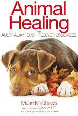 Marie Matthews - Animal Healing with Australian Bush Flower Essences, Häftad