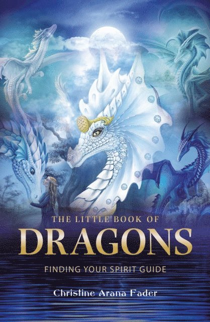 Christine Arana Fader - Little Book of Dragons, E-bok