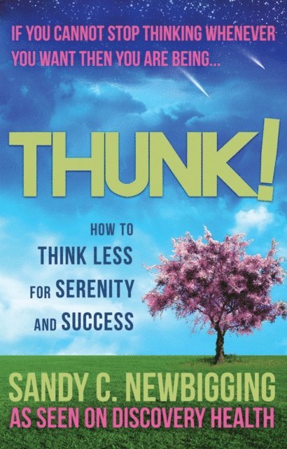 Sandy C. Newbigging - Thunk!, E-bok