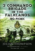 3 Commando Brigade in the Falklands: No Picnic