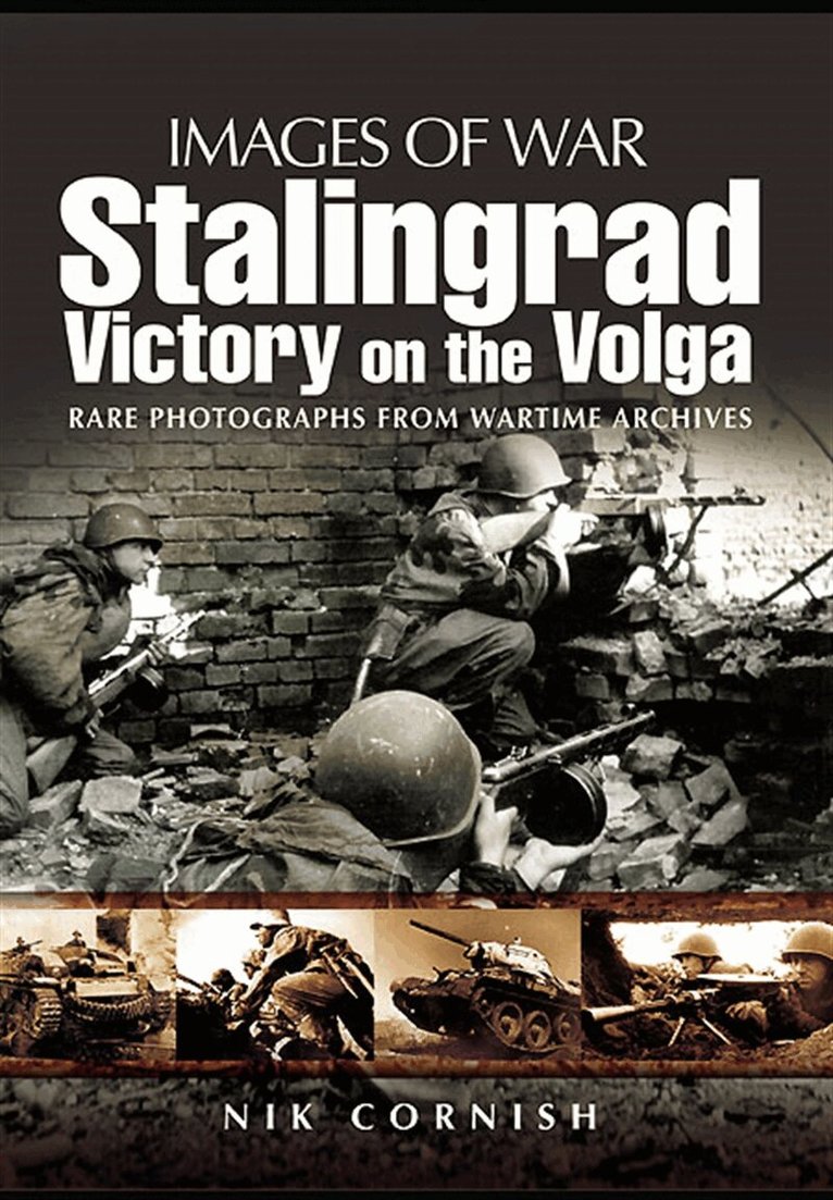 Nik Cornish - Stalingrad: Victory on the Volga, E-bok
