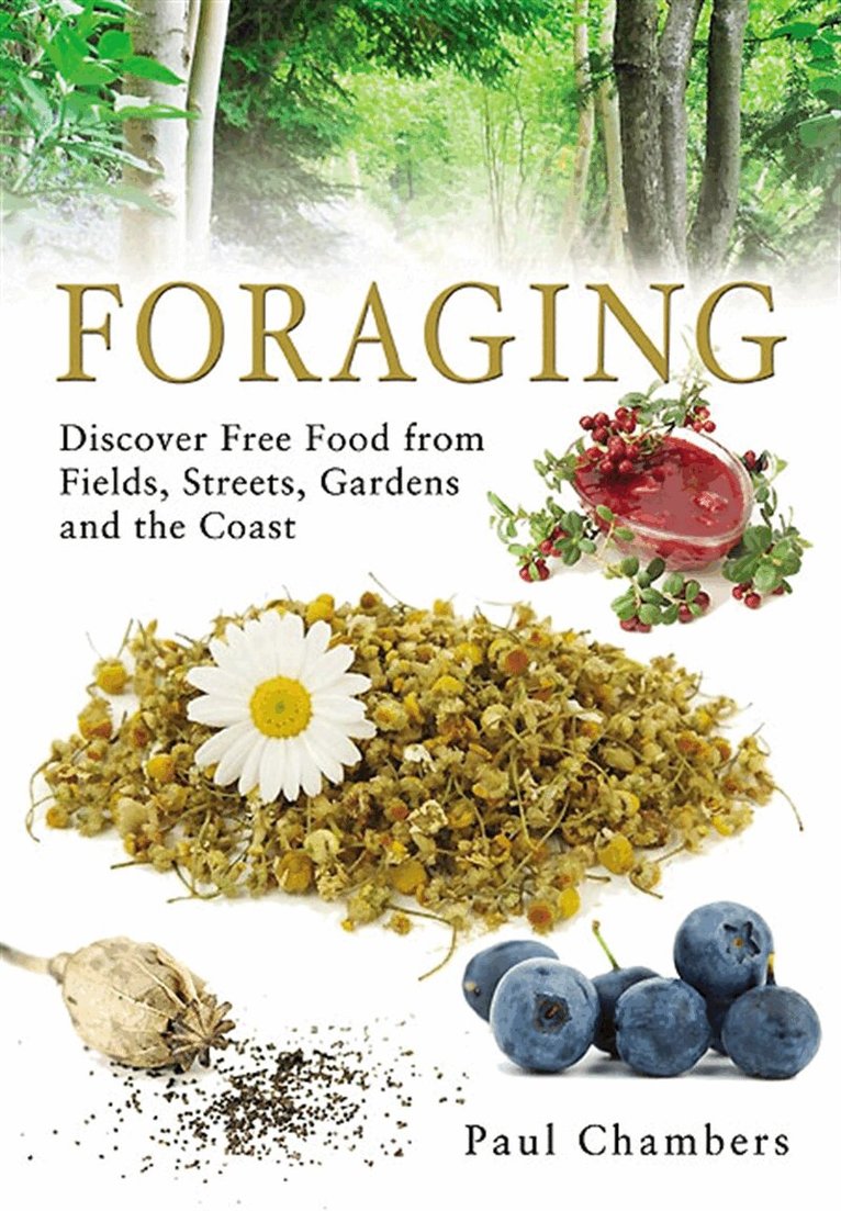 Paul Chambers - Foraging, E-bok