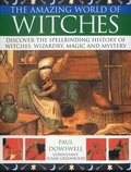 Amazing World of Witches
