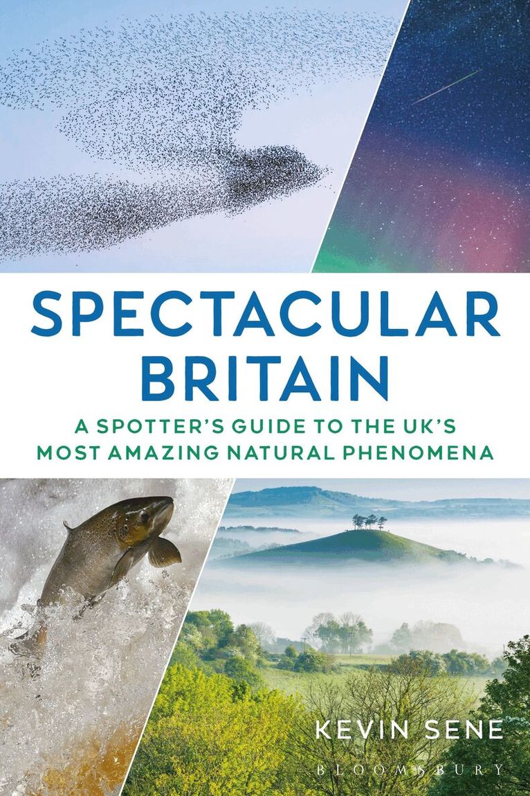 Kevin Sene - Spectacular Britain, Häftad. Tillgänglighet: Lägg i varukorg