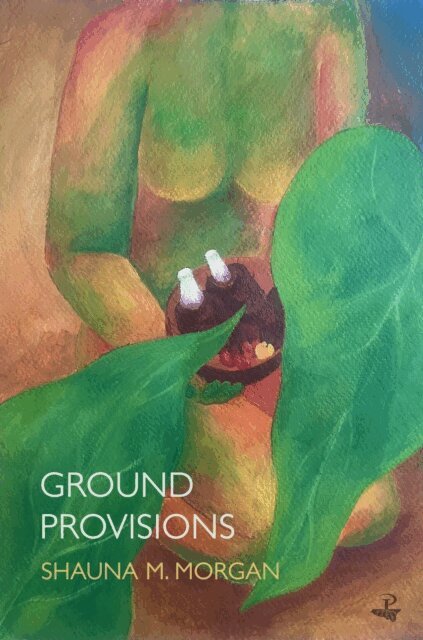 Shauna M. Morgan - Ground Provisions, E-bok