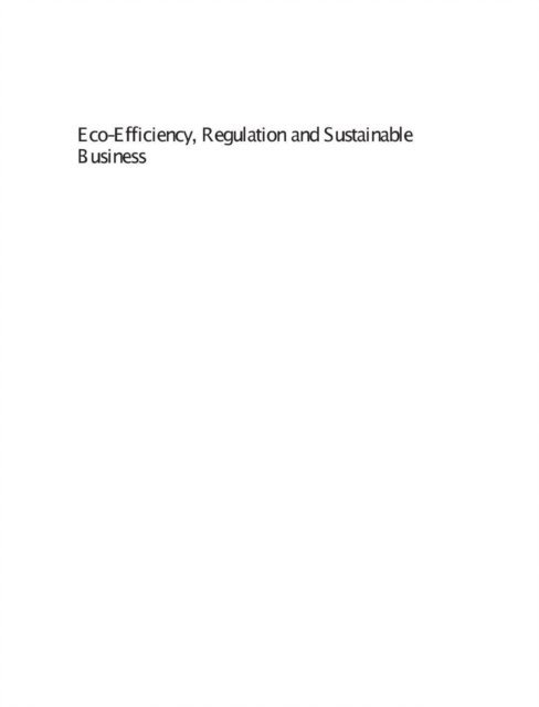 Peter Hennicke, Raimund Bleischwitz - Eco-Efficiency, Regulation and Sustainable Business, E-bok