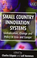 Small Country Innovation Systems by Charles Edquist, Leif Hommen