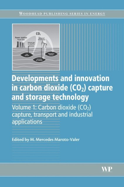 M. Mercedes Maroto-Valer - Developments and Innovation in Carbon Dioxide (CO2) Capture and Storage Technology, E-bok
