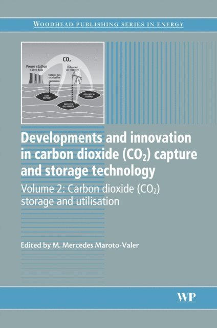 M. Mercedes Maroto-Valer - Developments and Innovation in Carbon Dioxide (CO2) Capture and Storage Technology, E-bok