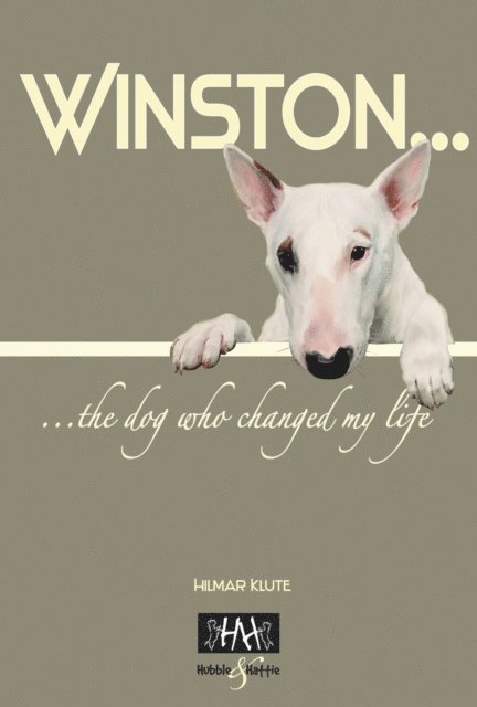 Hilmar klute - Winston, E-bok