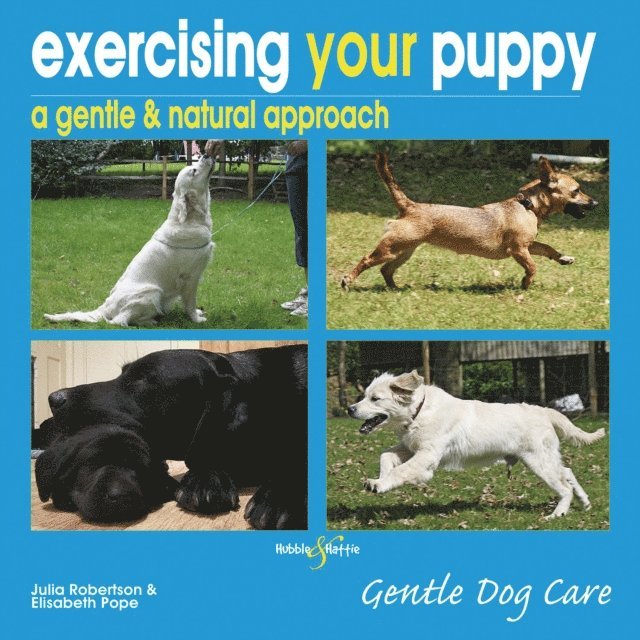 Julia Robertson, Elisabeth Pope - Exercising your puppy: a gentle & natural approach, E-bok