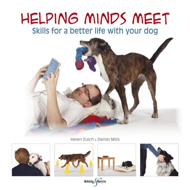 Peter Baumber, Helen Zulch, Daniel Mills - Helping minds meet, E-bok