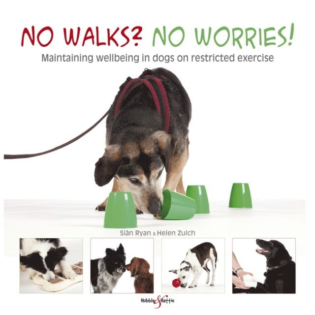 Sian Ryan, Peter Baumber, Helen Zulch - No walks? No worries!, E-bok