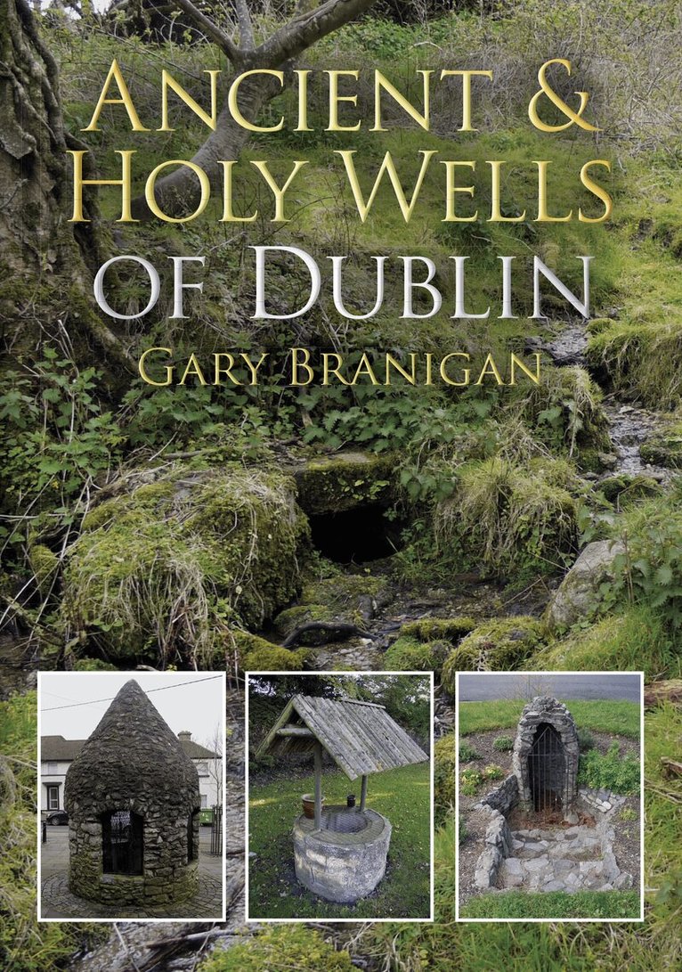 Gary Branigan - Ancient and Holy Wells of Dublin, Häftad