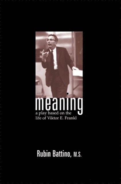 Rubin Battino - Meaning, E-bok