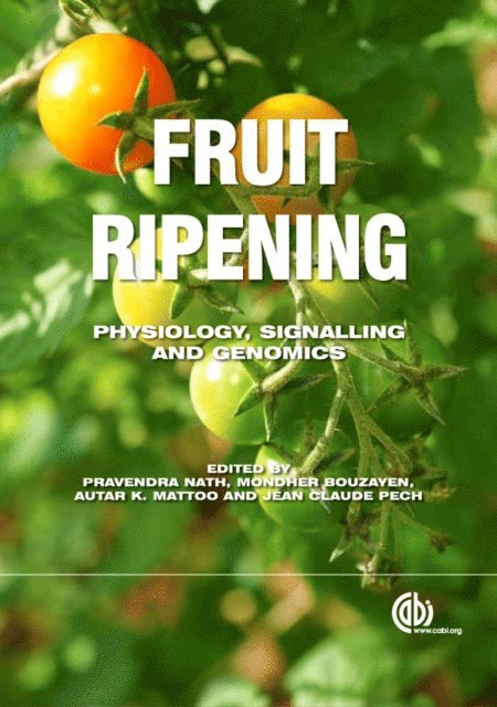 Pravendra Nath, Mondher Bouzayen, Autar K Mattoo, Jean Claude Pech - Fruit Ripening, E-bok