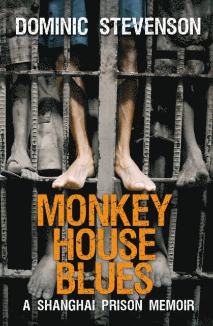 Dominic Stevenson - Monkey House Blues, E-bok