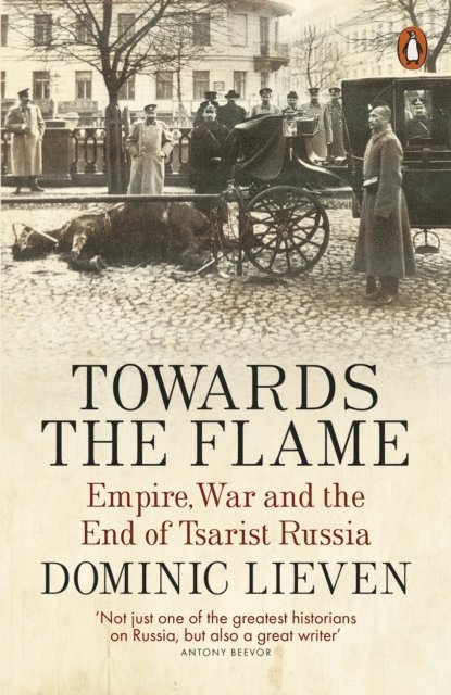Dominic Lieven - Towards the Flame, E-bok