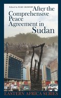 After the Comprehensive Peace Agreement in Sudan