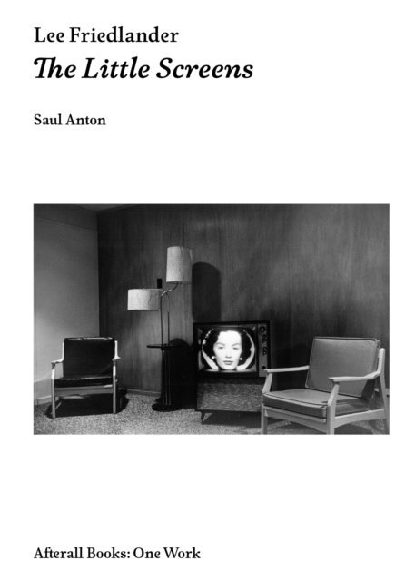 Saul Anton - Lee Friedlander, E-bok