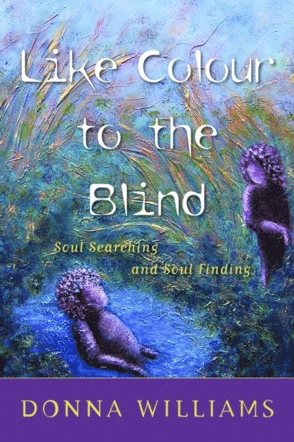 Donna Williams - Like Colour to the Blind, E-bok