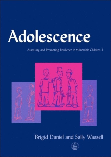 Sally Wassell, Brigid Daniel - Adolescence, E-bok