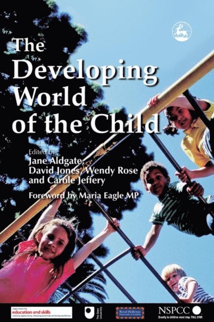 Wendy Rose, David P.H. Jones, Jane Aldgate - Developing World of the Child, E-bok