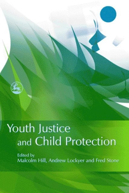 Fred Stone, Andrew Lockyer, Malcolm Hill - Youth Justice and Child Protection, E-bok