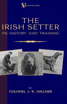 Irish Setter - Its History & Training (A Vintage Dog Books Breed Classic) av Colonel J K Millner, Colonel J K Millner